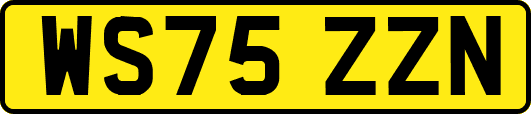 WS75ZZN