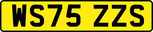 WS75ZZS