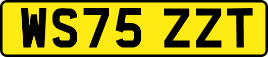 WS75ZZT