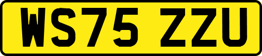WS75ZZU