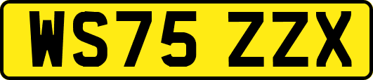 WS75ZZX