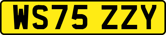 WS75ZZY