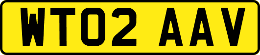 WT02AAV