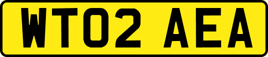 WT02AEA