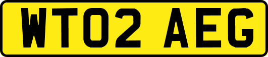 WT02AEG