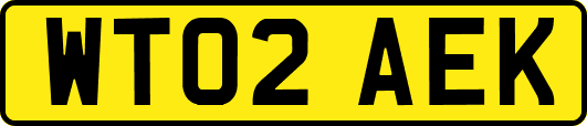 WT02AEK
