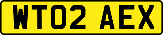 WT02AEX