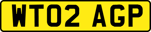 WT02AGP