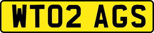 WT02AGS