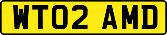 WT02AMD