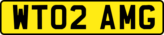 WT02AMG