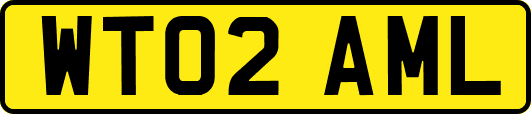 WT02AML
