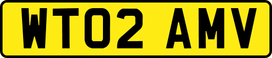 WT02AMV