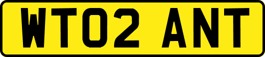 WT02ANT