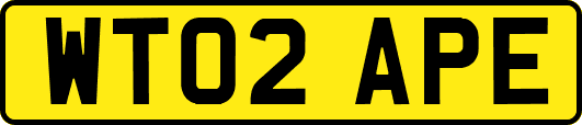 WT02APE