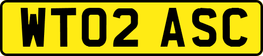 WT02ASC
