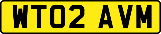 WT02AVM