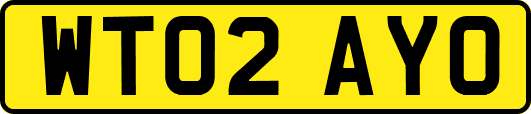 WT02AYO