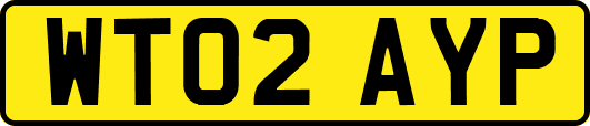 WT02AYP