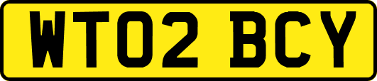 WT02BCY