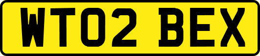 WT02BEX