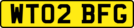 WT02BFG