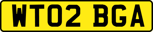 WT02BGA