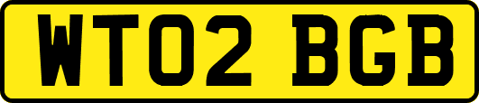 WT02BGB