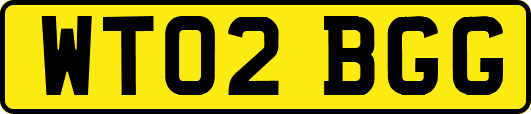 WT02BGG