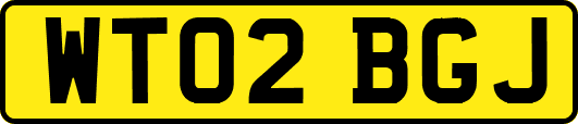 WT02BGJ