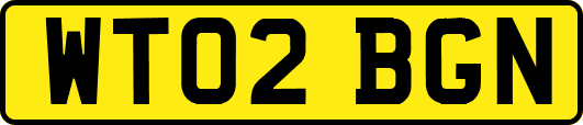 WT02BGN