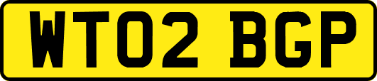 WT02BGP