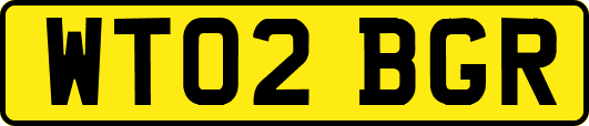 WT02BGR