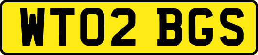 WT02BGS