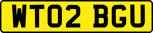 WT02BGU