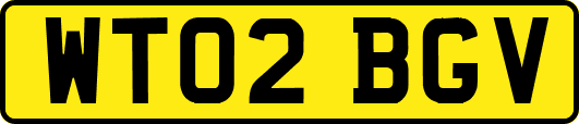 WT02BGV