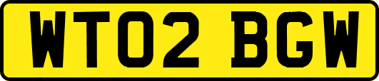WT02BGW