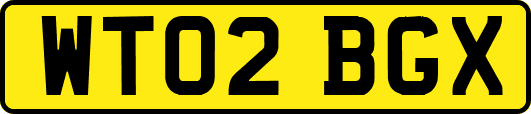 WT02BGX