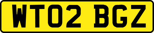 WT02BGZ