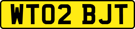 WT02BJT