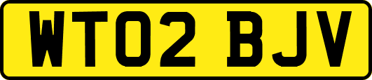 WT02BJV