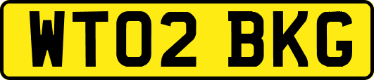 WT02BKG