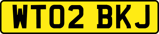 WT02BKJ