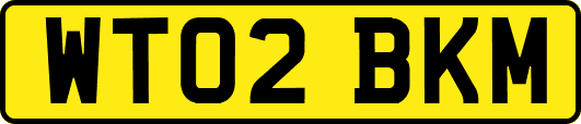 WT02BKM