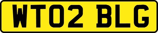 WT02BLG