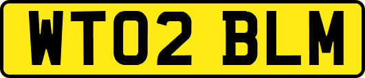 WT02BLM