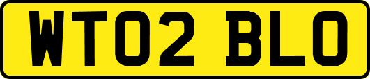 WT02BLO