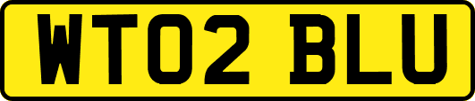 WT02BLU