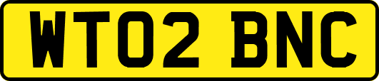 WT02BNC