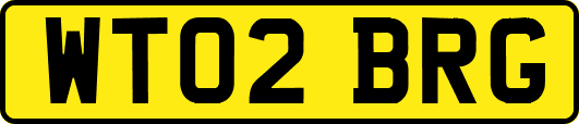WT02BRG